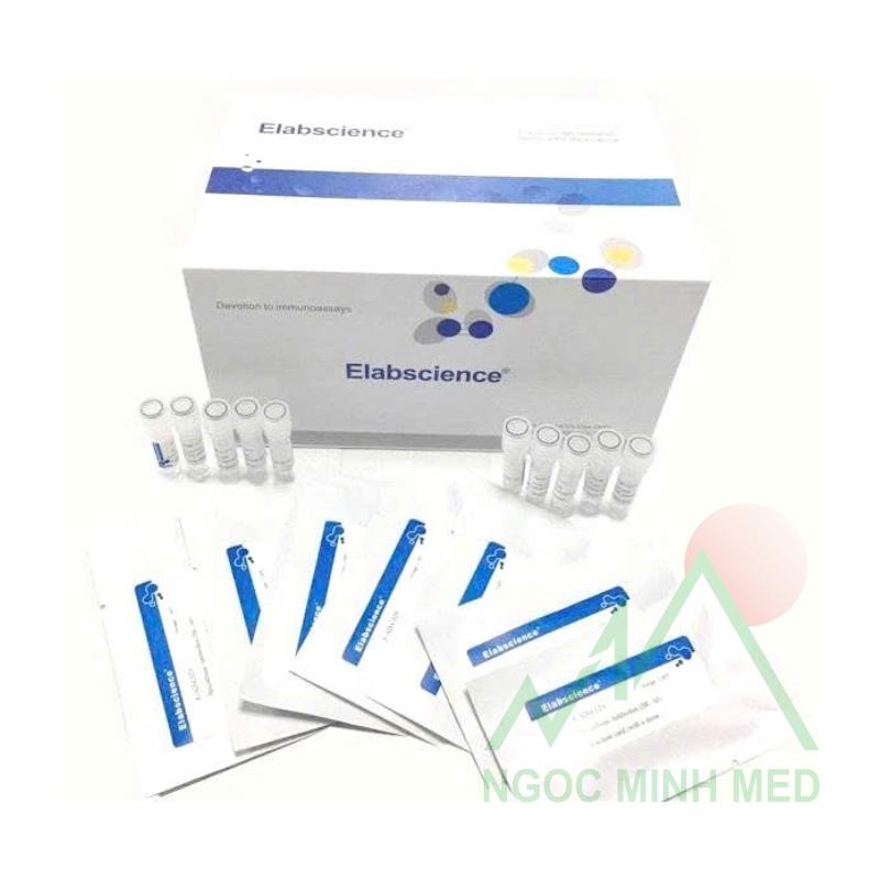 Test nhanh phát hiện Coronavirus ở mèo